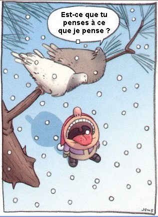 pigeon-neige.jpg
