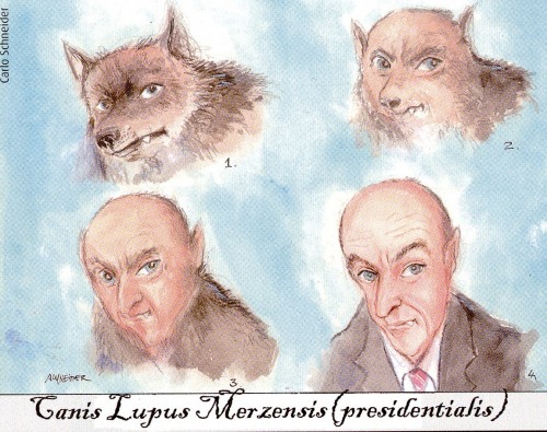 Canis Lupus Merzerensis(2).jpg